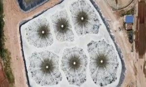 Aerator selection